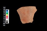 藏品(腹片-帶紋)的圖片