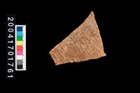 藏品(腹片-帶紋)的圖片