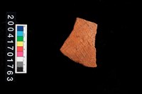 藏品(腹片-帶紋)的圖片