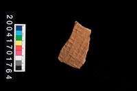 藏品(腹片-帶紋)的圖片