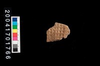 藏品(腹片-帶紋)的圖片