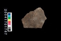 藏品(腹片-帶紋)的圖片