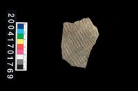 藏品(腹片-帶紋)的圖片