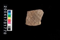 藏品(腹片-帶紋)的圖片