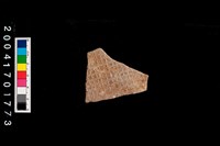 藏品(腹片-帶紋)的圖片