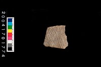 藏品(腹片-帶紋)的圖片