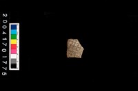 藏品(腹片-帶紋)的圖片