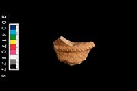 藏品(腹片-帶紋)的圖片