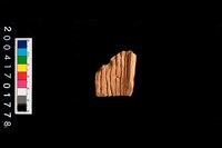 藏品(口緣-帶紋)的圖片