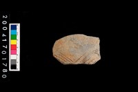 藏品(腹片-帶紋)的圖片