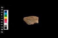 藏品(腹片-帶紋)的圖片