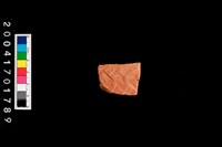 藏品(腹片-帶紋)的圖片