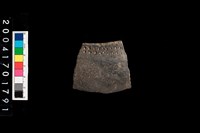 藏品(腹片-帶紋)的圖片