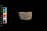 藏品(腹片-帶紋)的圖片