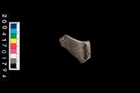 藏品(腹片-帶紋)的圖片