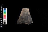 藏品(腹片-素面)的圖片