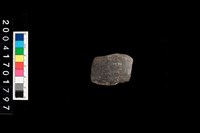 藏品(腹片-帶紋)的圖片