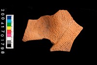 藏品(繩紋底部)的圖片