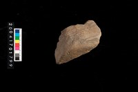 藏品(繩紋底部)的圖片