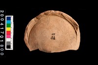 藏品(底部)的圖片