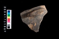 藏品(鈕把)的圖片