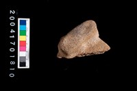 藏品(鈕把)的圖片