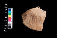 藏品(繩紋陶蓋)的圖片