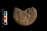 藏品(陶蓋殘件)的圖片