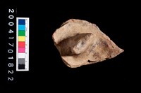 藏品(陶蓋把)的圖片