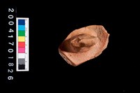 藏品(陶蓋把)的圖片