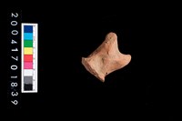 藏品(陶蓋把)的圖片