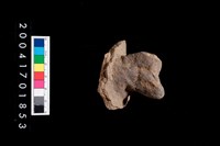 藏品(陶蓋把)的圖片