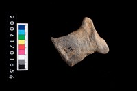 藏品(陶蓋把)的圖片