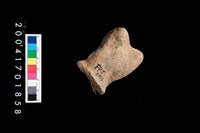 藏品(陶蓋把)的圖片