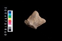 藏品(陶蓋把)的圖片