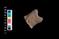 藏品(陶蓋把)的圖片