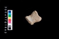 藏品(陶蓋把)的圖片