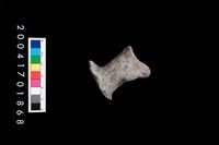 藏品(陶蓋把)的圖片