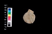 藏品(鈕把)的圖片