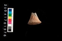 藏品(陶紡輪)的圖片