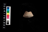 藏品(陶紡輪)的圖片