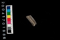 藏品(陶環)的圖片