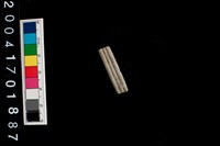 藏品(陶環)的圖片