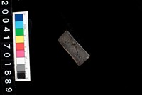 藏品(陶環)的圖片