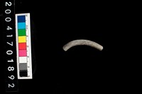 藏品(陶環)的圖片