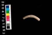 藏品(陶環)的圖片