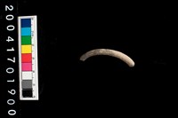 藏品(陶環)的圖片