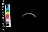 藏品(陶環)的圖片