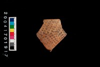 藏品(彩陶-盆口)的圖片