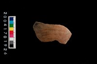 藏品(腹片-帶紋)的圖片